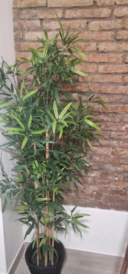 Barcelona,Apartamento Con Terraza Apartment Оспиталет де Лобрегат Екстериор снимка